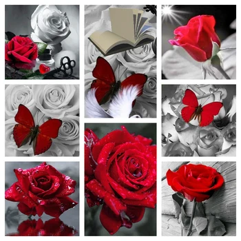 Raudona Rožė Gėlių 